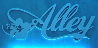 Alley logo